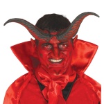Hörner Horn Teufel Dämon Rot Halloween Horror Party Ungeheuer Monster | Démonské rohy 20 cm - carnivalstore.de