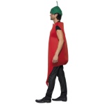 Peperoni-Kostüm für Erwachsene | Costum Chilli Pepper, Red Hot - carnivalstore.de