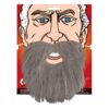Grey Men's Beard - Carnival Store GmbH