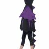 Hooded Creature Cape with Attached Wings and Tail