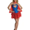 Supergirl Secret Wishes Womens Dress Up Costume
