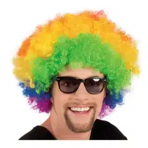 Afro Wig Multicoloured