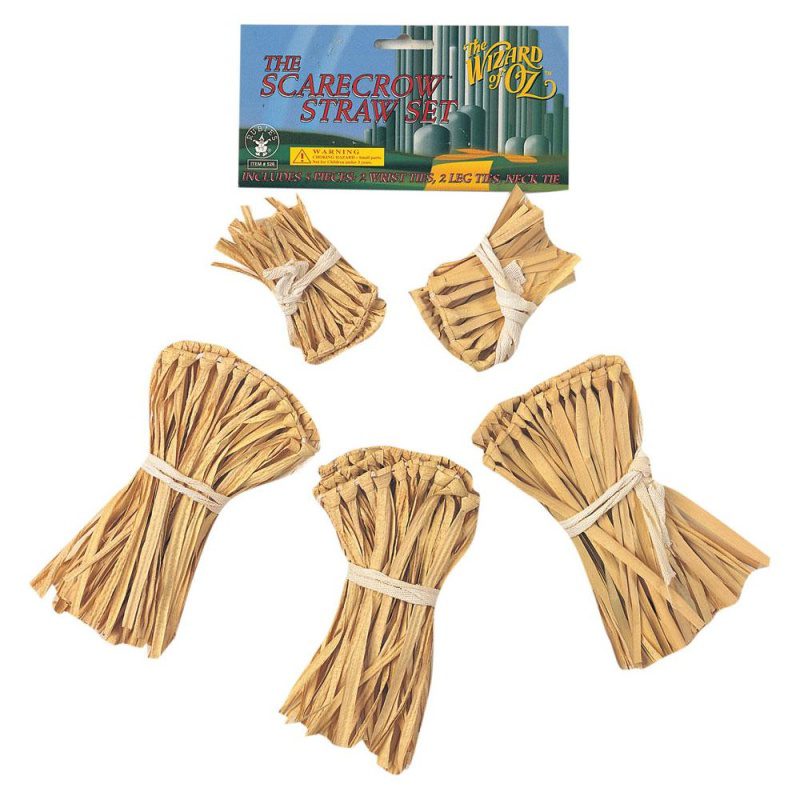 Vogelscheuchen-Set Der Zauberer von Oz 5-teilig | „Wizard Of Oz Straw Kit“ – carnivalstore.de