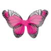 Butterfly Set Wings & Wand - carnivalstore.de