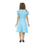 Wonderland Princess Costume for Teen Girls