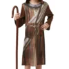 Shepherd Boys Costume